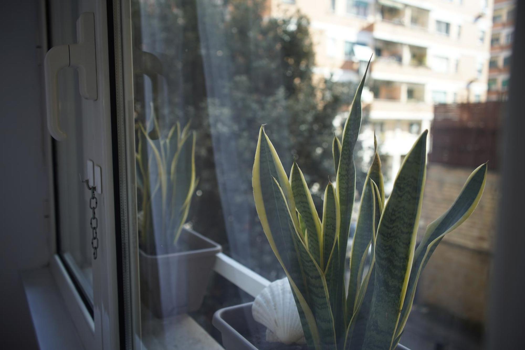 Apartamento Hope